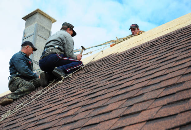 Best Best Roofing Contractors  in Liberty Triangle, FL